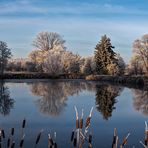 Winterlicher Fischteich 036 