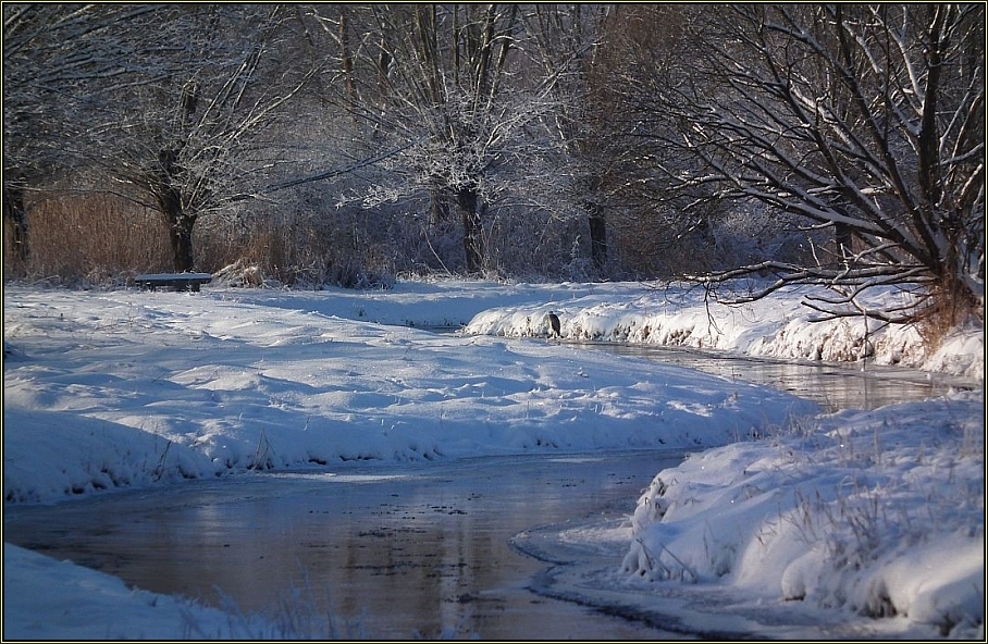 Winterlicher Flußlauf