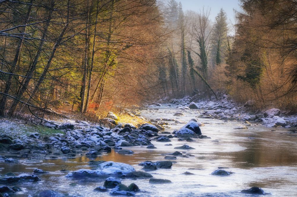 Winterlicher Flusslauf