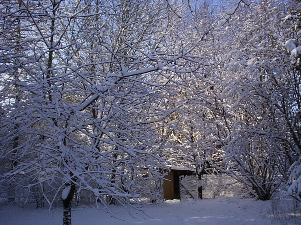 Winterlicher Garten 1