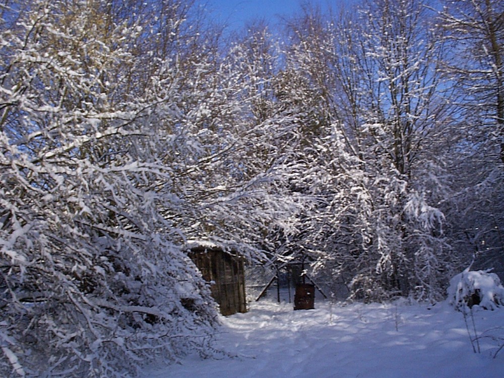 Winterlicher Garten 2