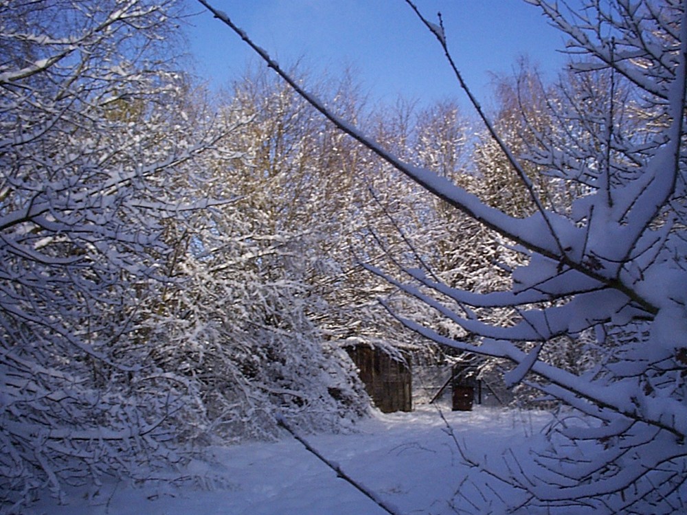 Winterlicher Garten 3