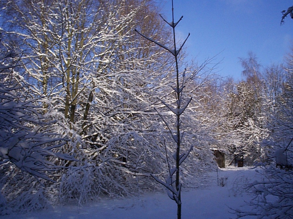 Winterlicher Garten 4