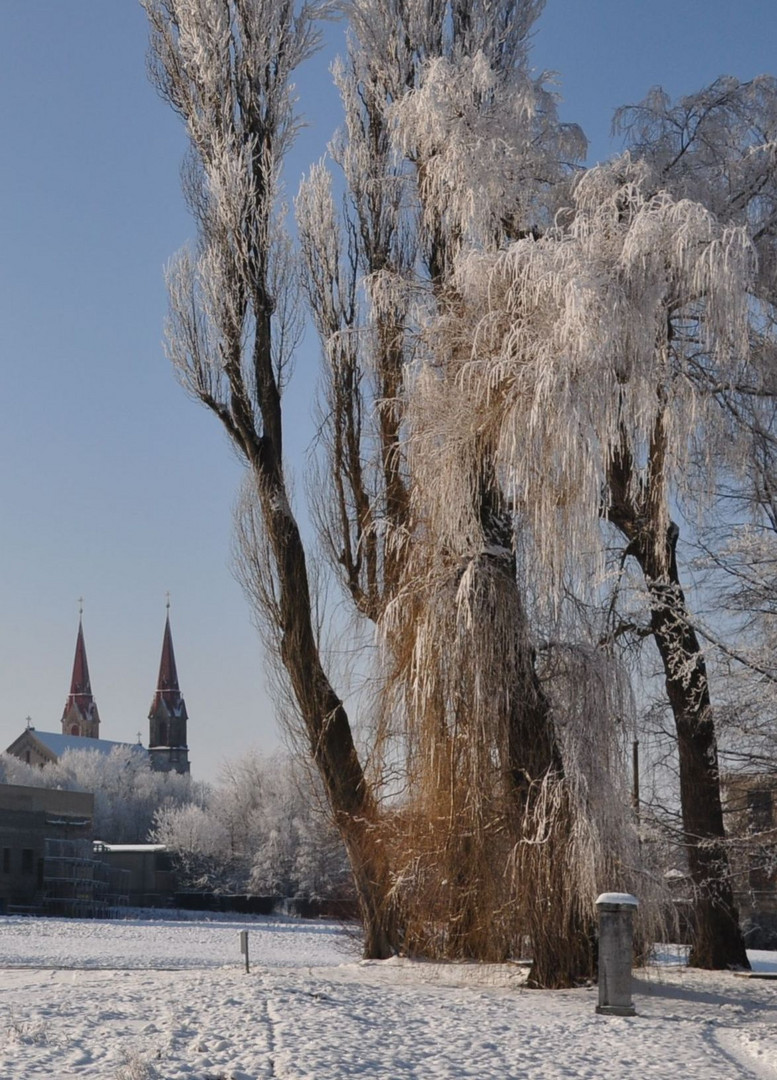 Winterlicher Grenzblick