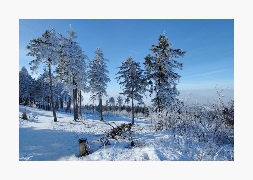 Winterlicher Großer Feldberg