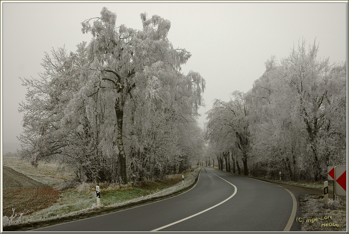 Winterlicher Gruß........