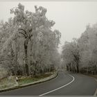 Winterlicher Gruß........