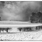 Winterlicher Gruß von der Schwäbischen Alb