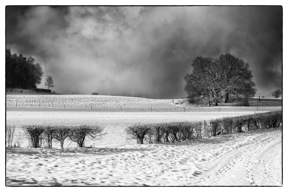 Winterlicher Gruß von der Schwäbischen Alb