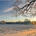 Winterlicher Gruß zum "neuen Jahr"...