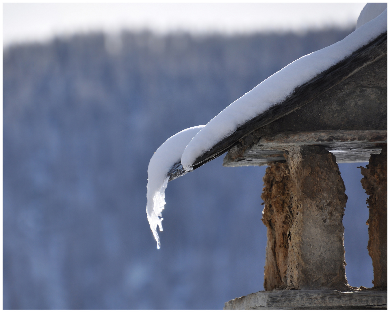 Winterlicher Halbdurchblick