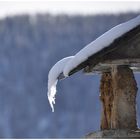 Winterlicher Halbdurchblick