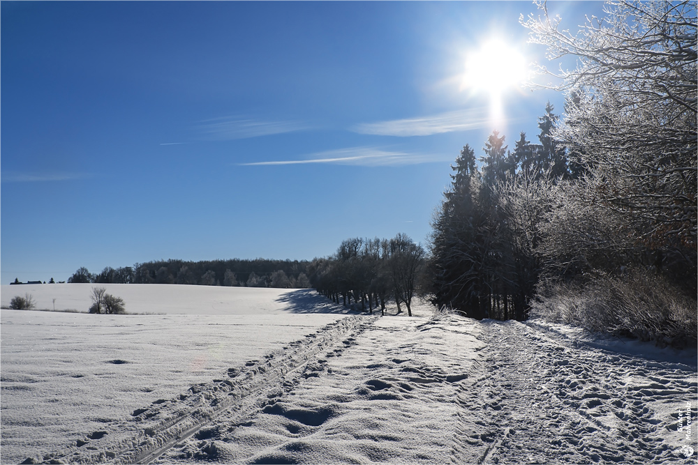 Winterlicher Harz