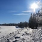 Winterlicher Harz