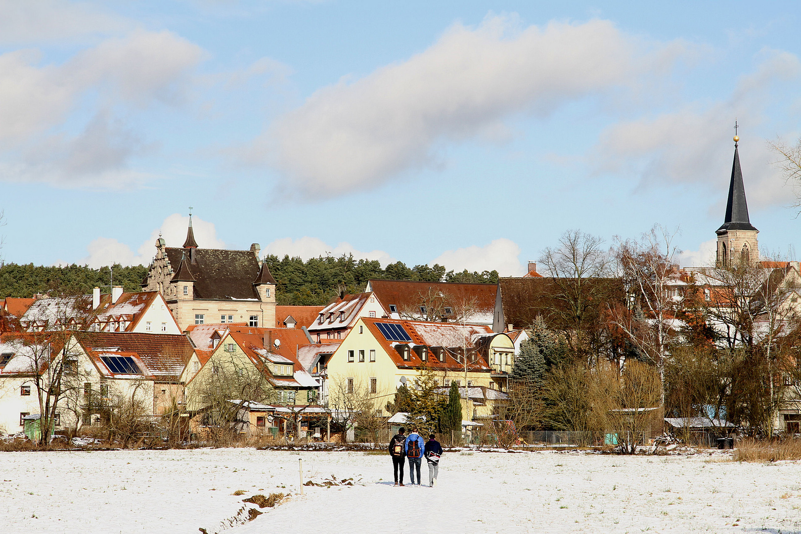 winterlicher Heimweg............