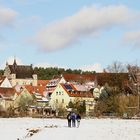 winterlicher Heimweg............