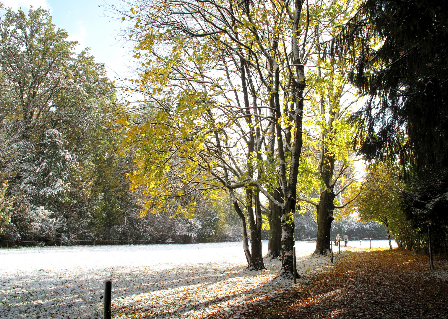 Winterlicher Herbst