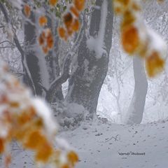 winterlicher Herbst