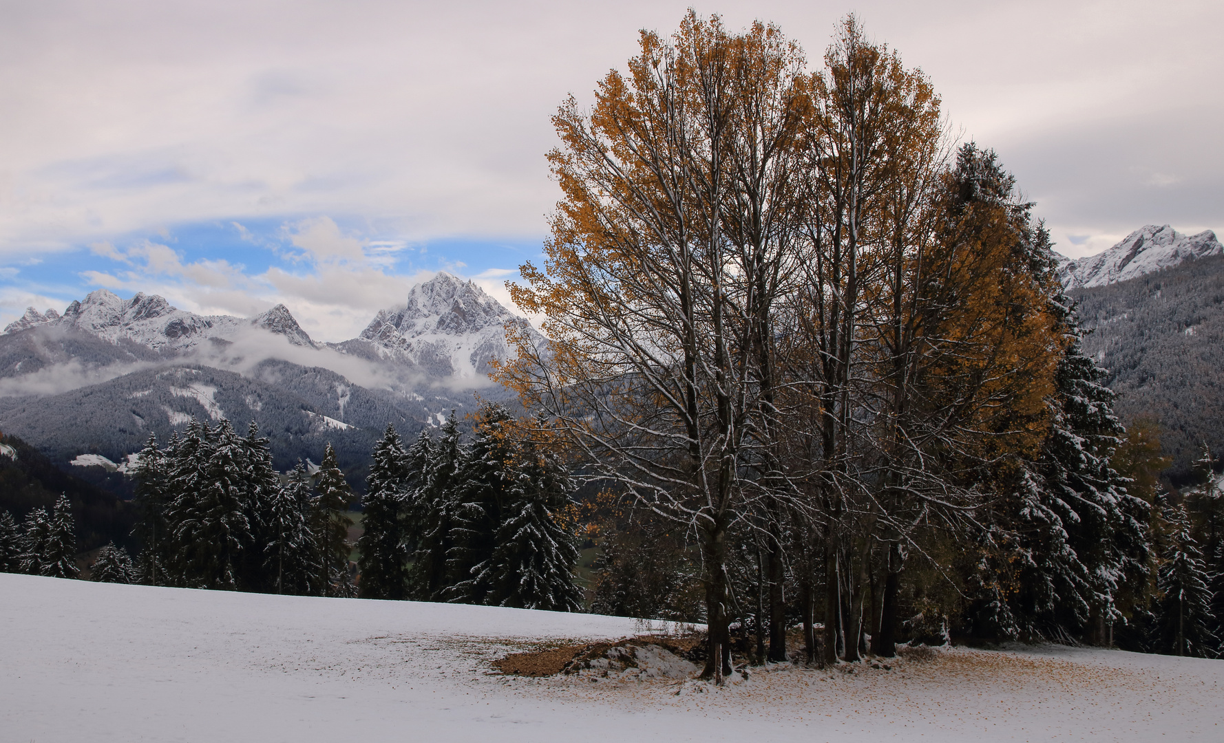 winterlicher Herbst