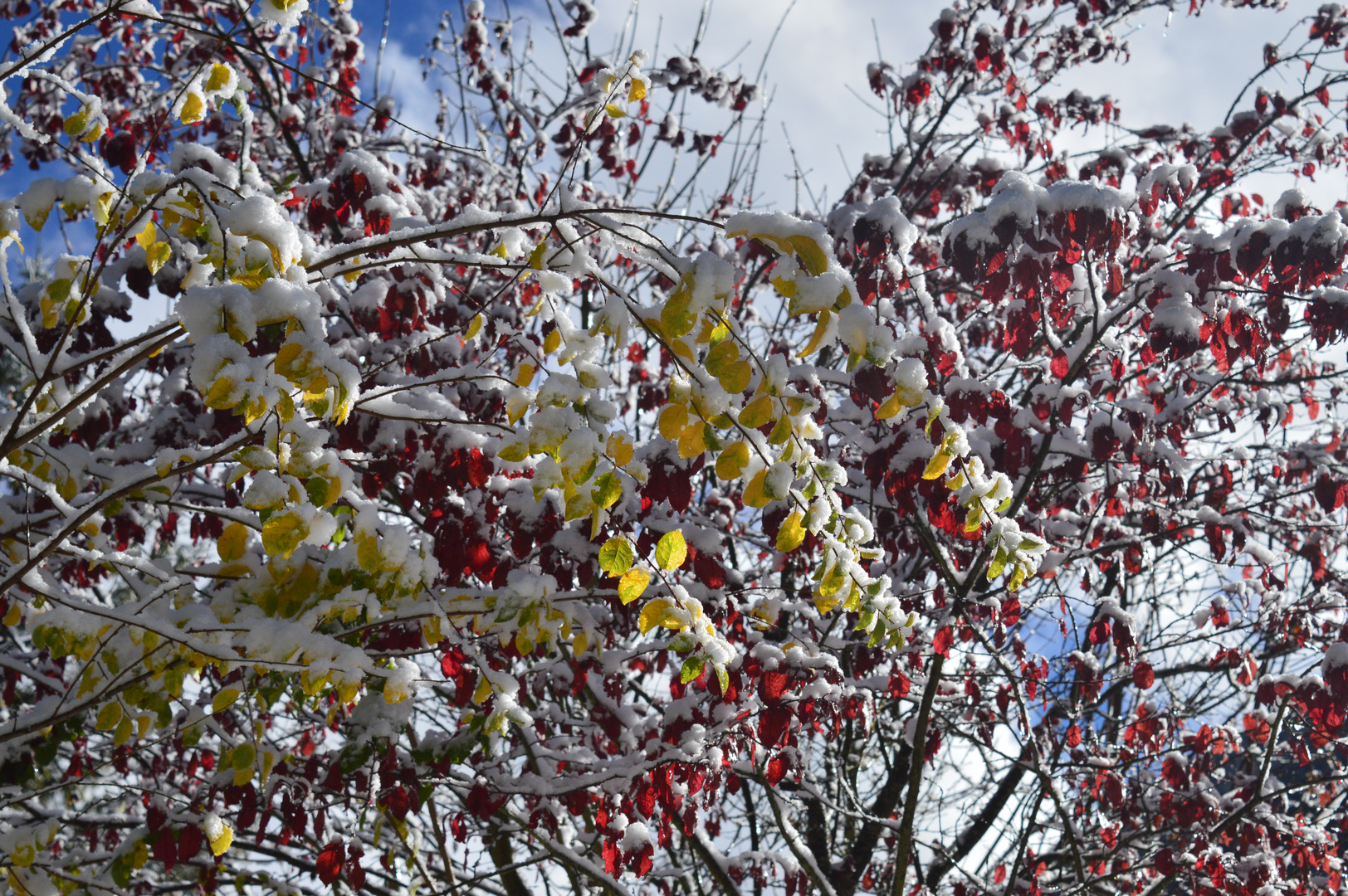 Winterlicher Herbsteindruck