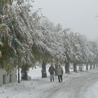 winterlicher Herbstspaziergang