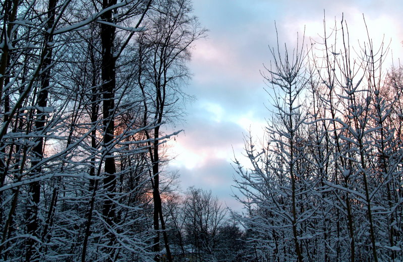 Winterlicher Himmel