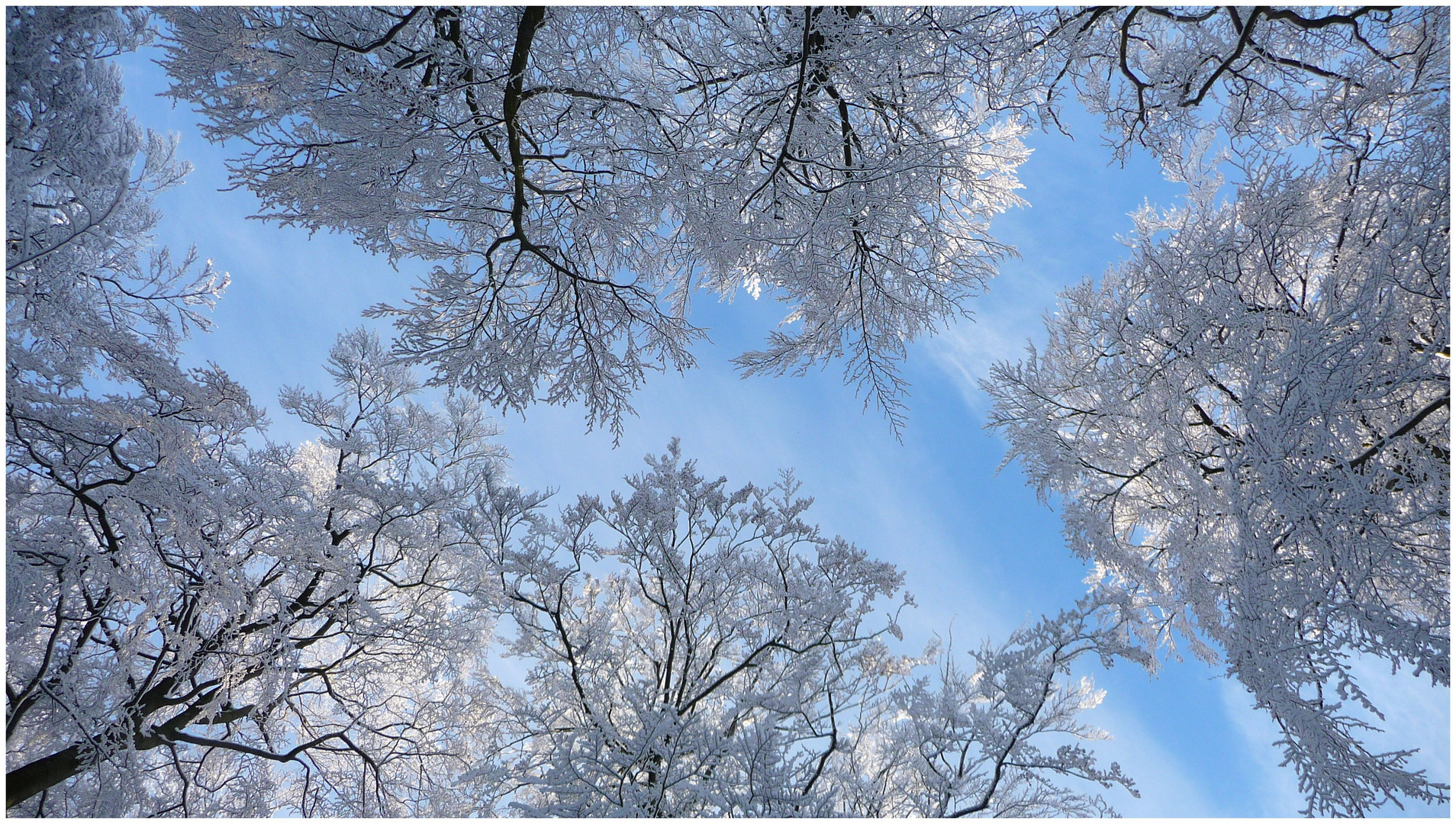 Winterlicher Himmelsblick