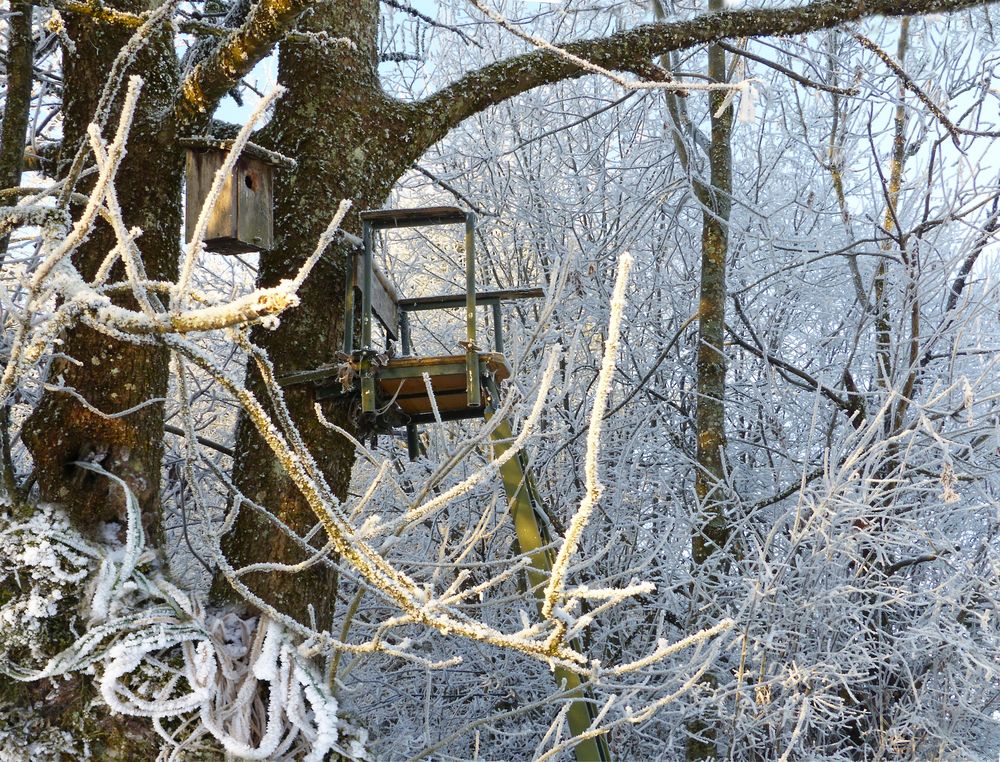 Winterlicher Hochsitz