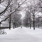 Winterlicher Hofgarten in München.