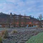 Winterlicher Hofwiesenpark 