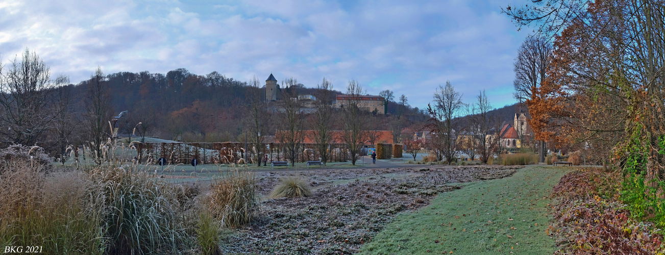 Winterlicher Hofwiesenpark 