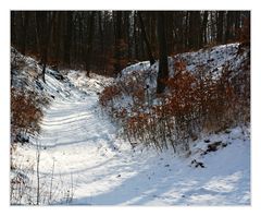 Winterlicher Hohlweg bei Neubrandenburg