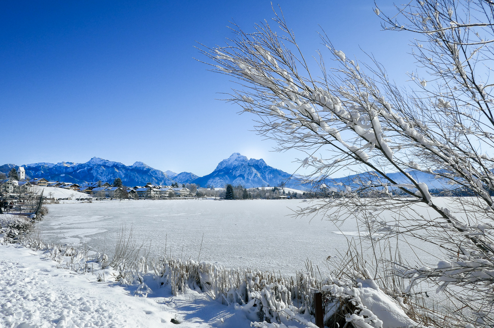 Winterlicher Hopfensee / Allgäu Nr. 1