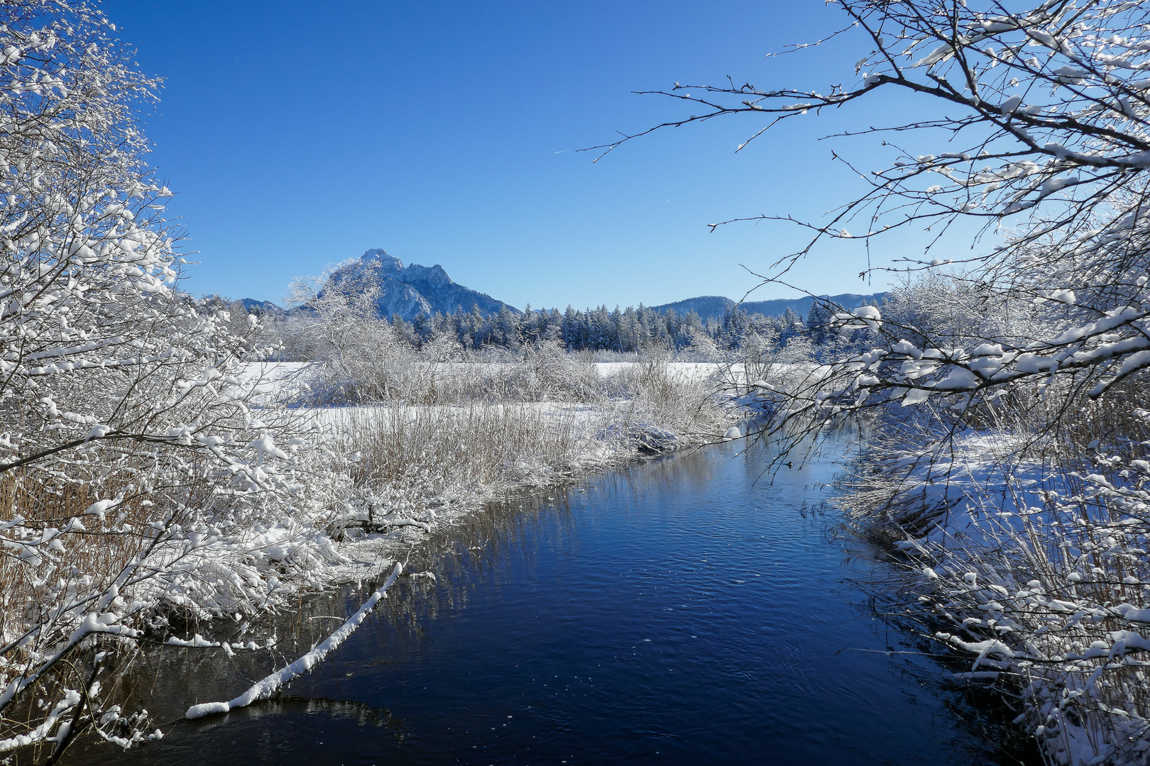 Winterlicher Hopfensee / Allgäu Nr. 3