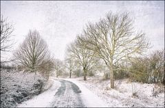 Winterlicher Jakobsweg #2