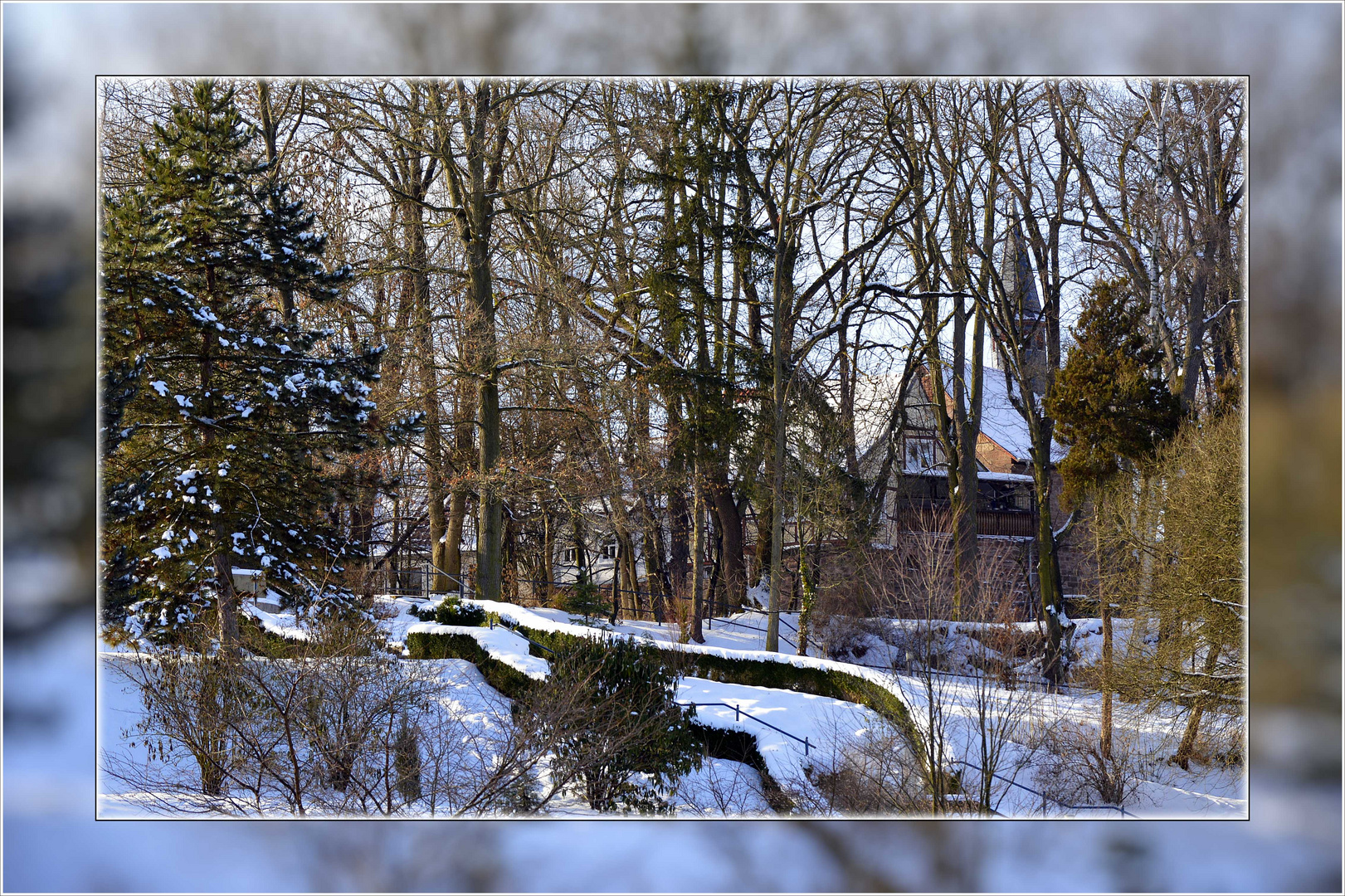 Winterlicher Klausberg vom Heinrich-Heine-Park gesehen