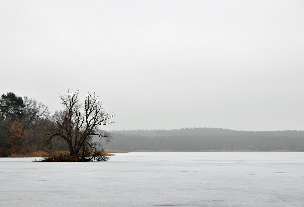 Winterlicher Kölpinsee