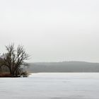 Winterlicher Kölpinsee