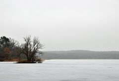 Winterlicher Kölpinsee