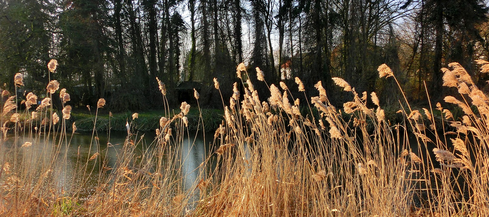 Winterlicher Kontrast