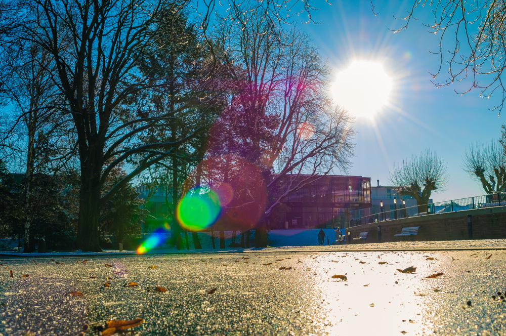 Winterlicher Kurpark in Bad Vilbel I/II