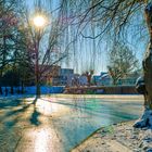 Winterlicher Kurpark in Bad Vilbel II/II