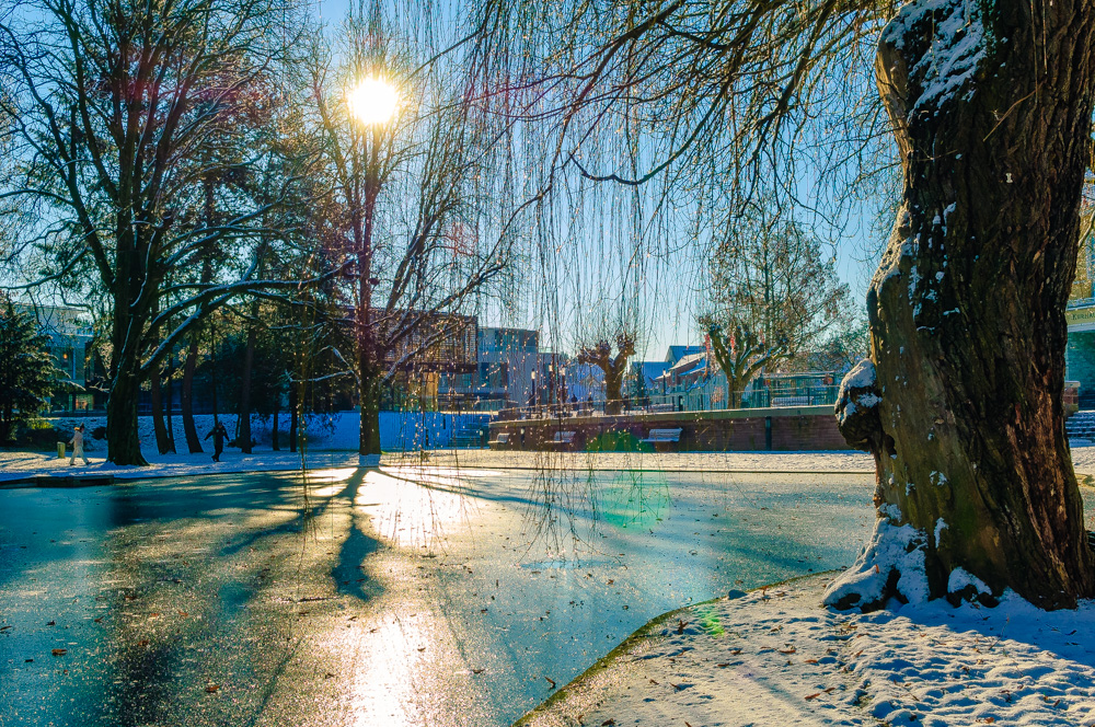 Winterlicher Kurpark in Bad Vilbel II/II