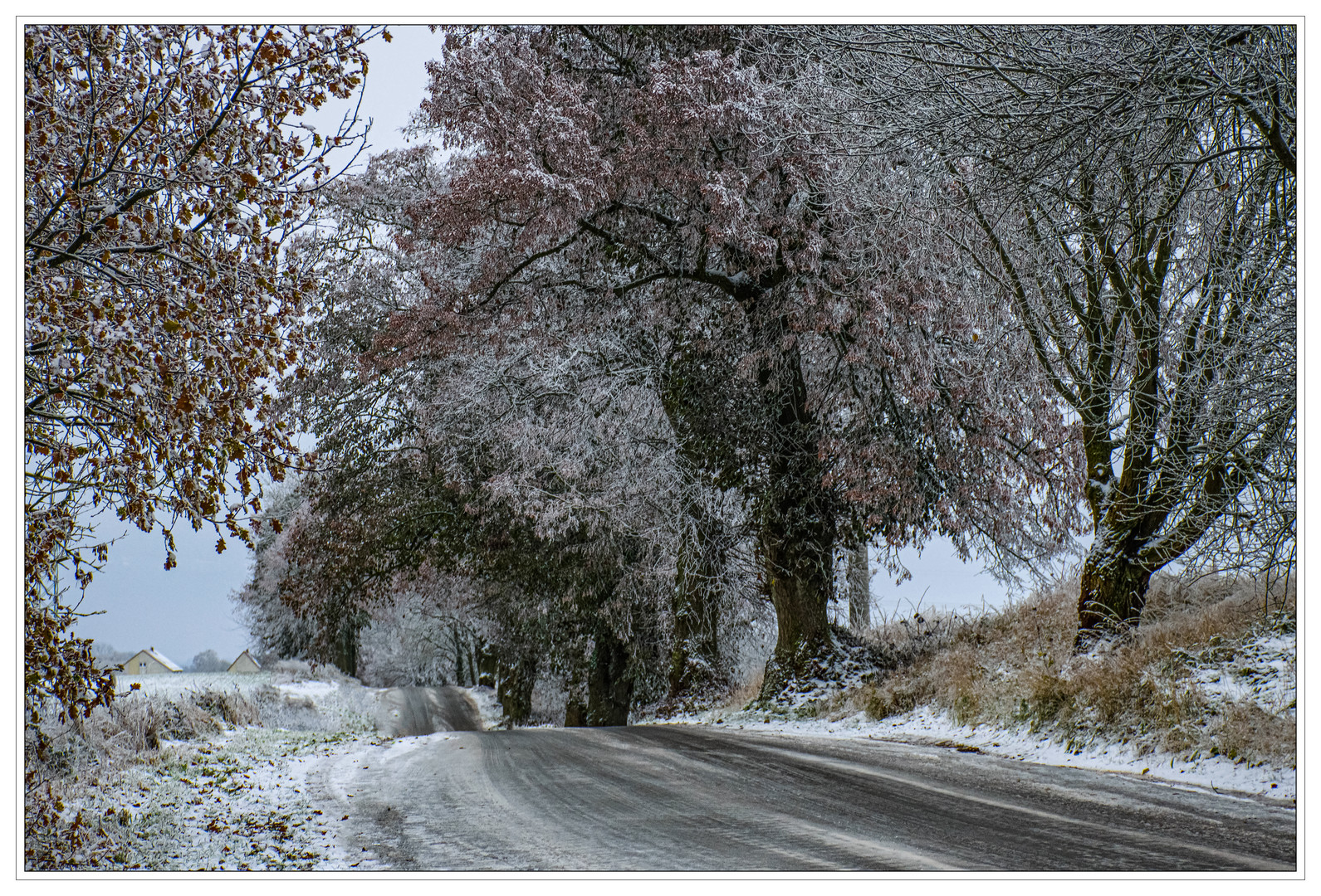 Winterlicher Landweg