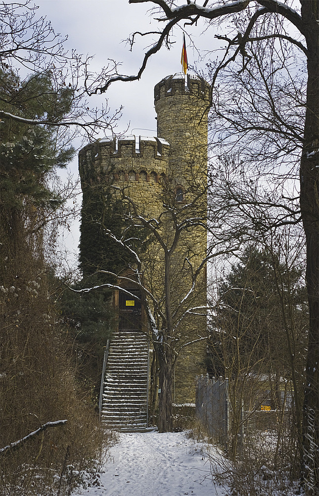 Winterlicher Lennebergturm im Lennebergwald