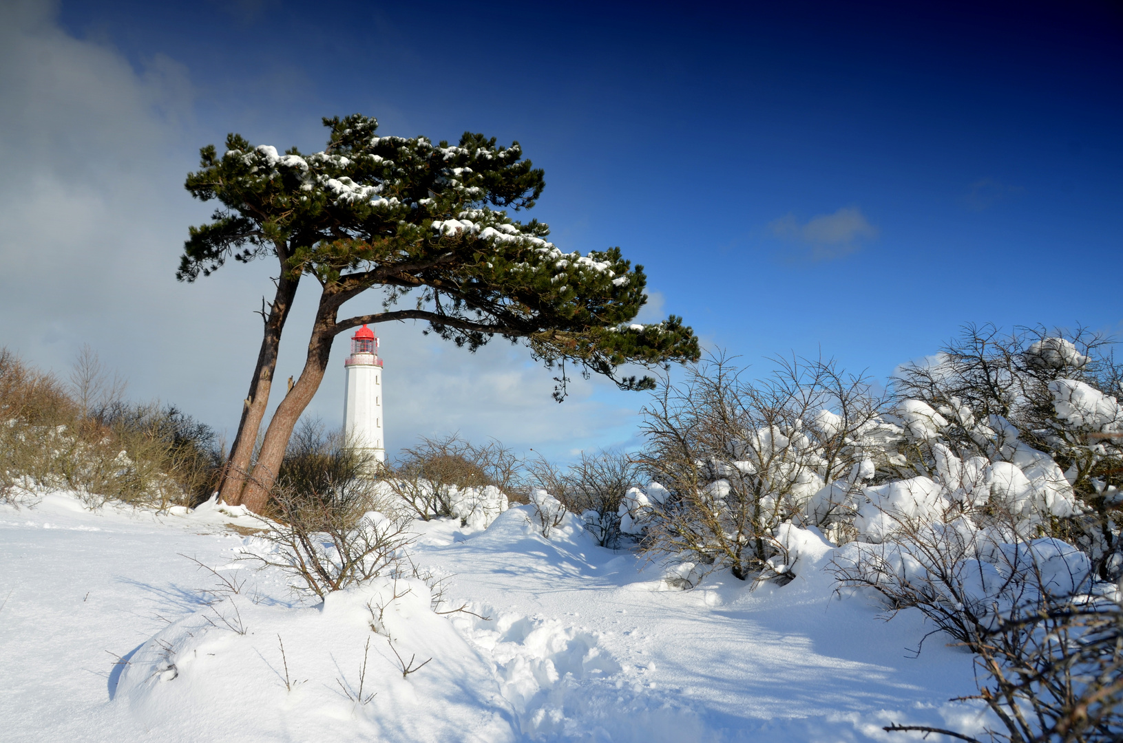 Winterlicher Leuchtturm 