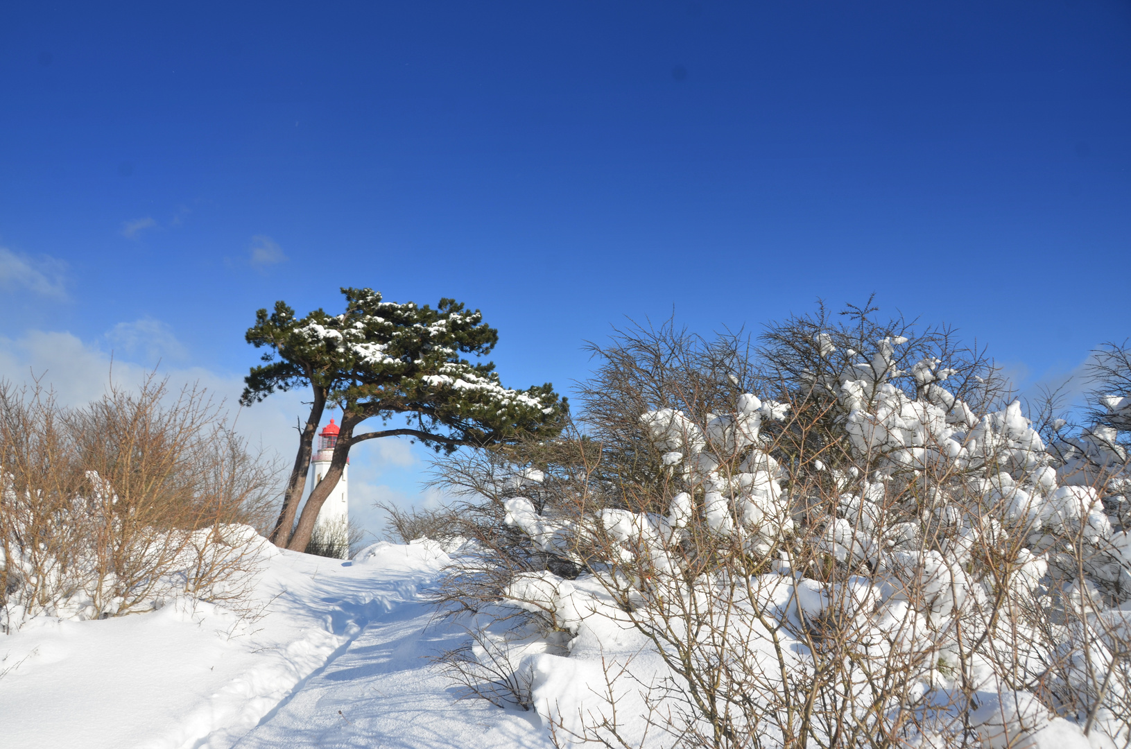 Winterlicher Leuchtturm 