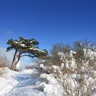 Winterlicher Leuchtturm 