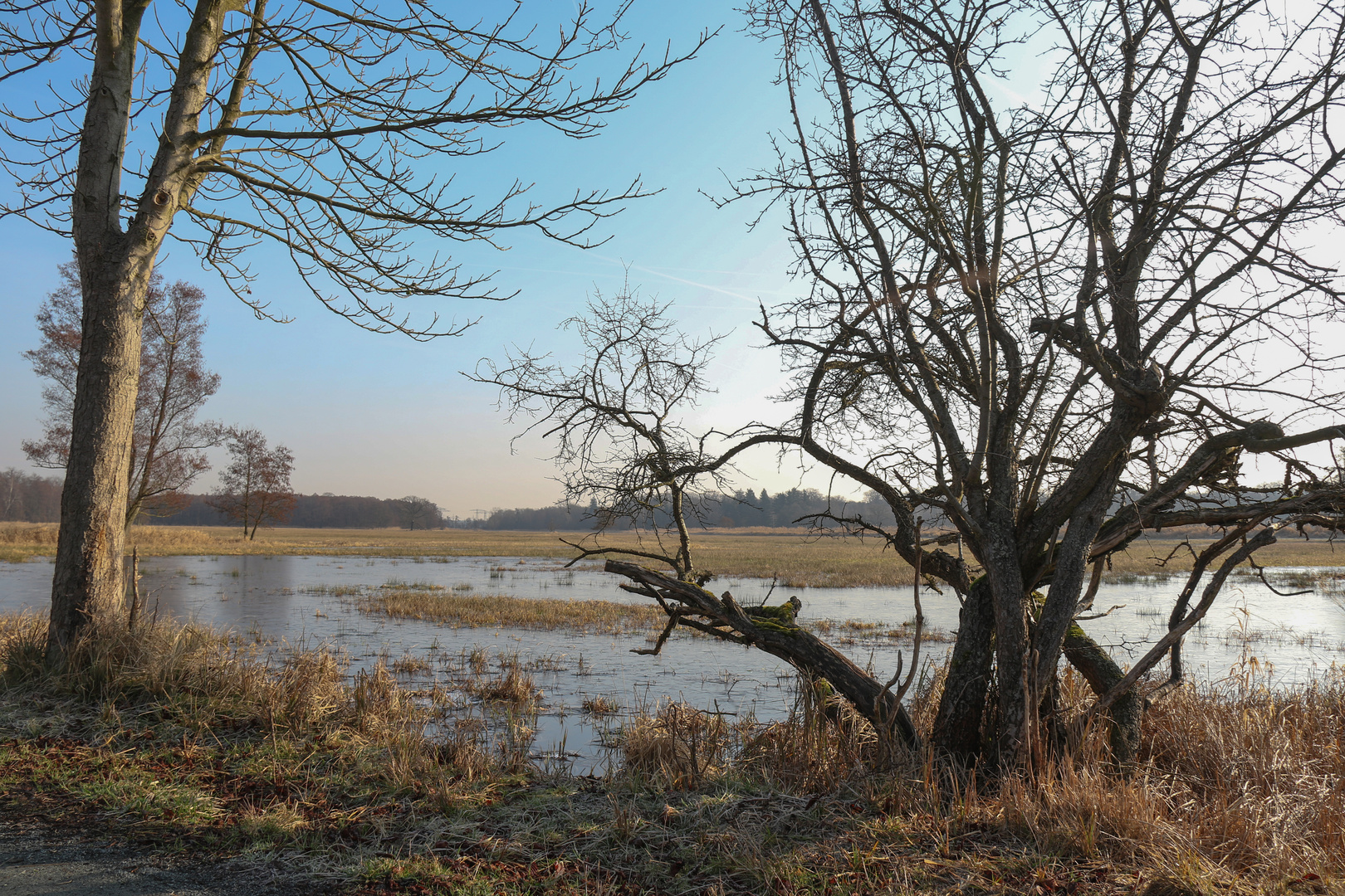 Winterlicher Morgen