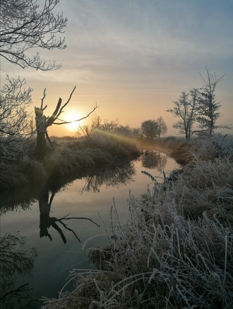 Winterlicher Morgen